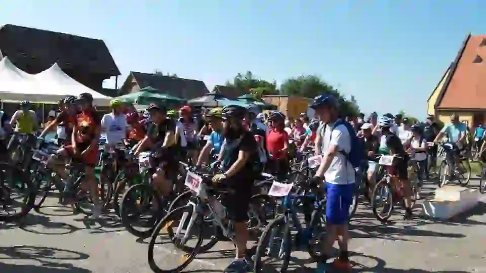 13254025_540088256163385_1857293834010760469_n