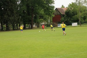 IMG_0951